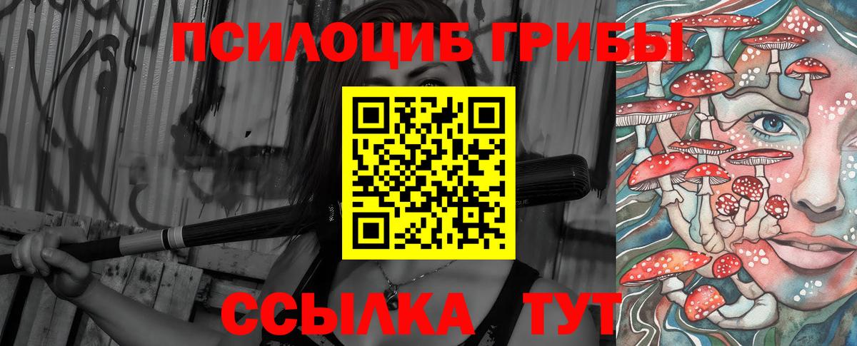 Псилоцибиновые грибы Psilocybine cubensis Елизово